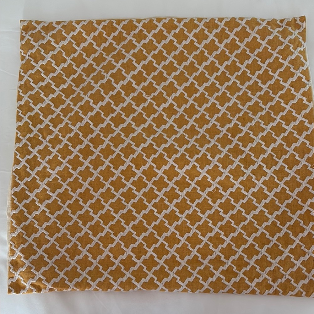 Pottery Barn Gold/White Pillow Cover